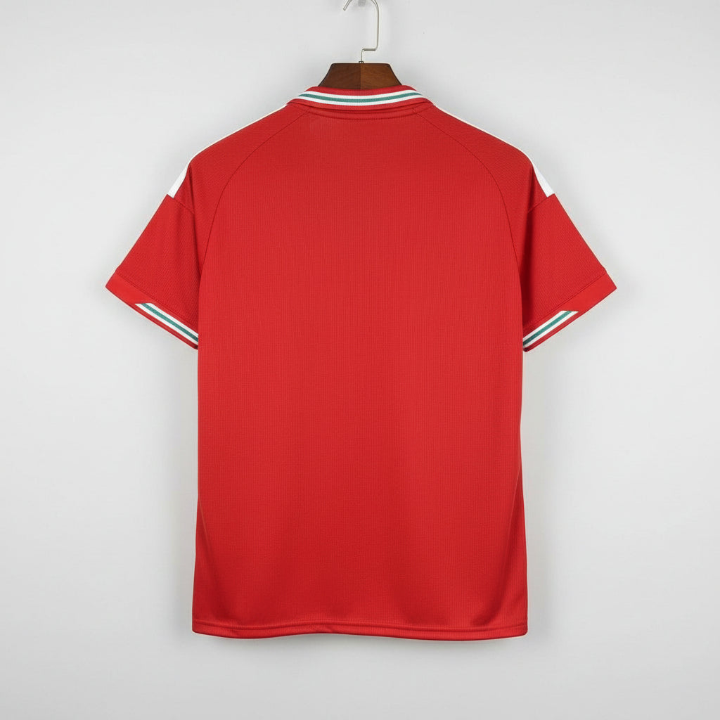 Wales Home Kit International World Cup 26