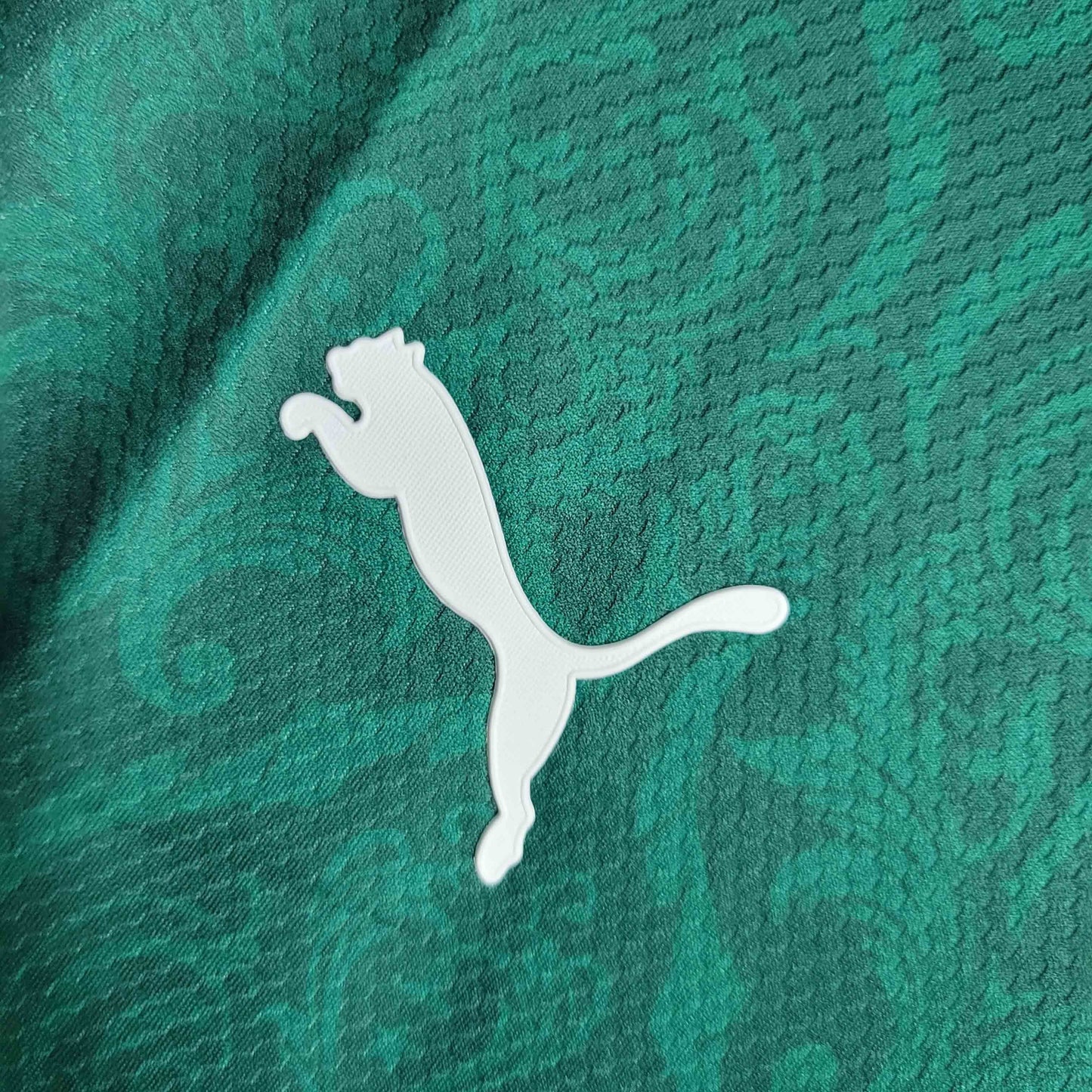 Palmeiras Home Kit 20/21 Retro