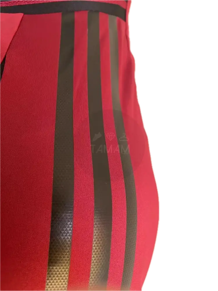 Belgium Home Kit Player Version 24/25 International Football Jersey