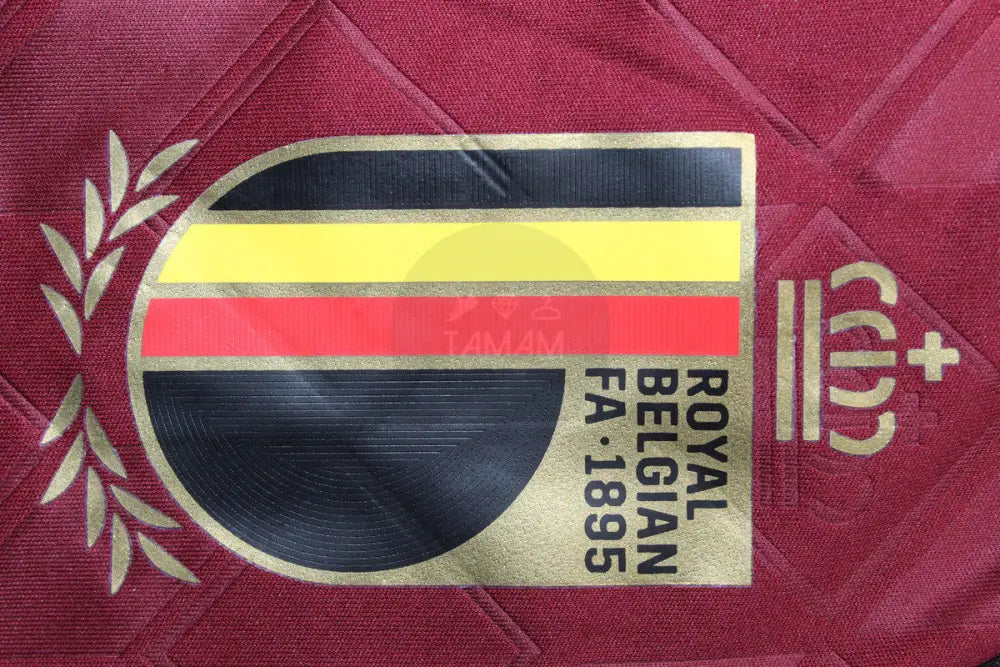 Belgium Home Kit Player Version 24/25 International Football Jersey
