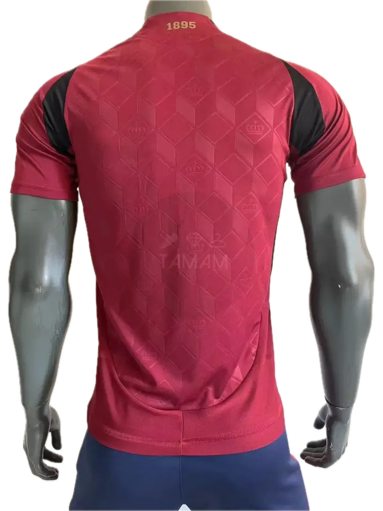 Belgium Home Kit Player Version 24/25 International Football Jersey