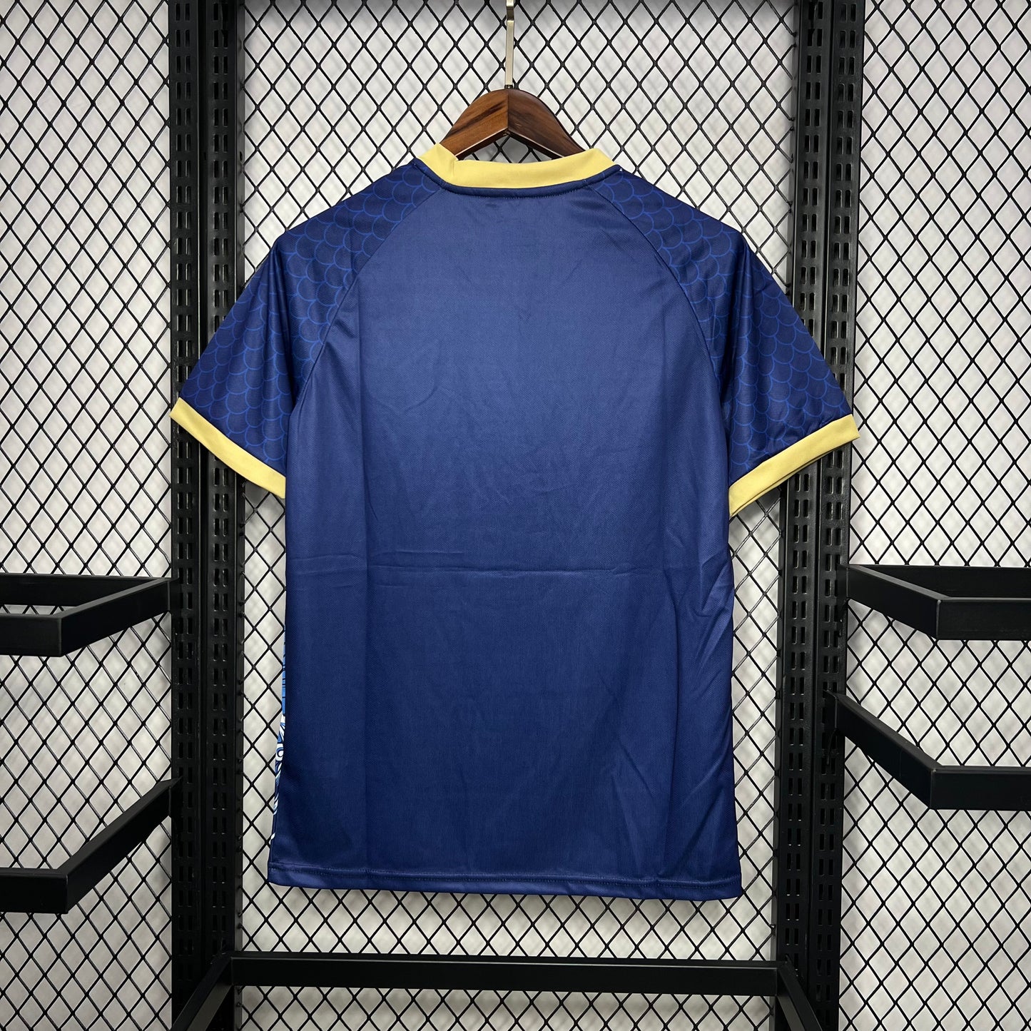 Japan Year of the Dragon/Blue Kit 24/25