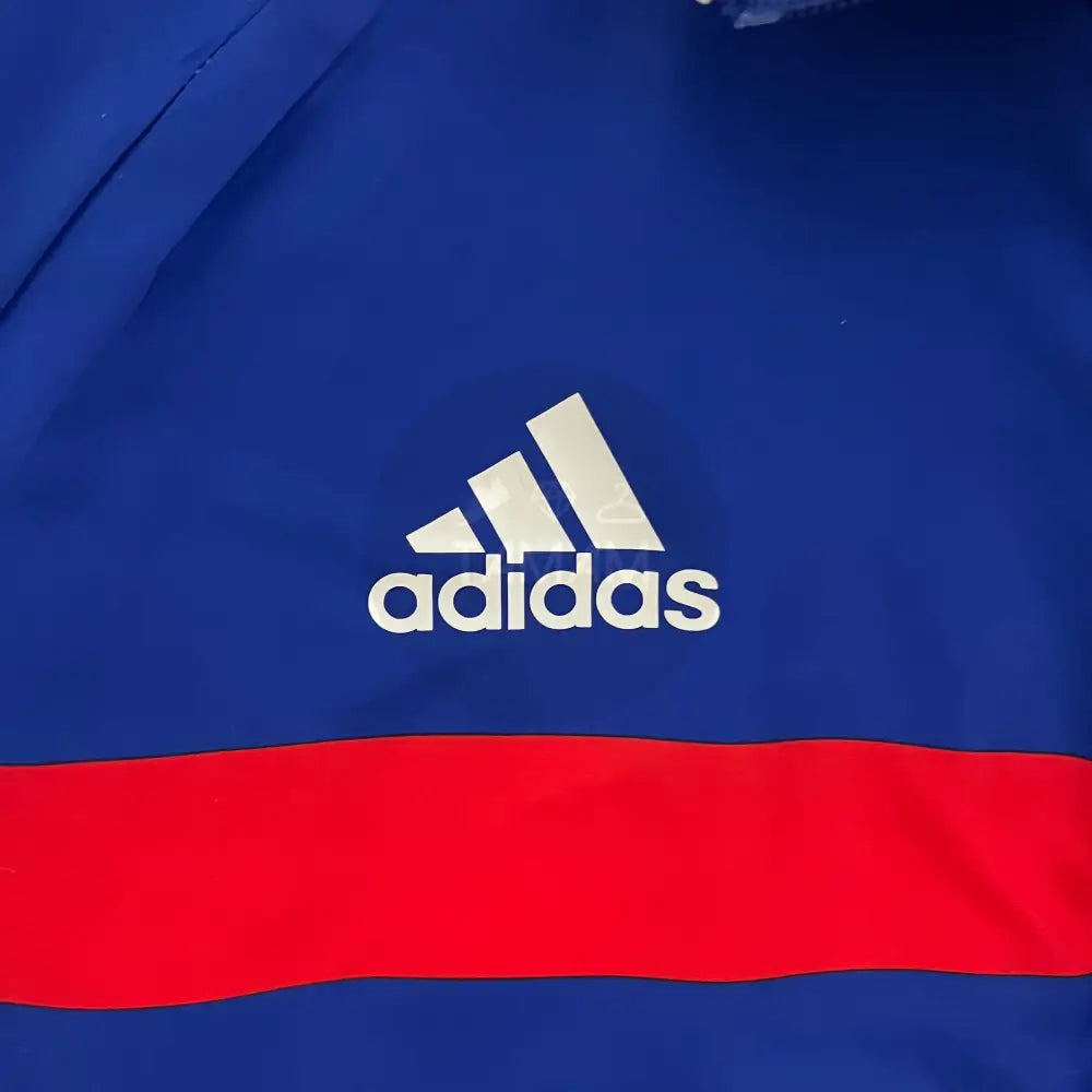 France Reversible International Windbreaker 24/25
