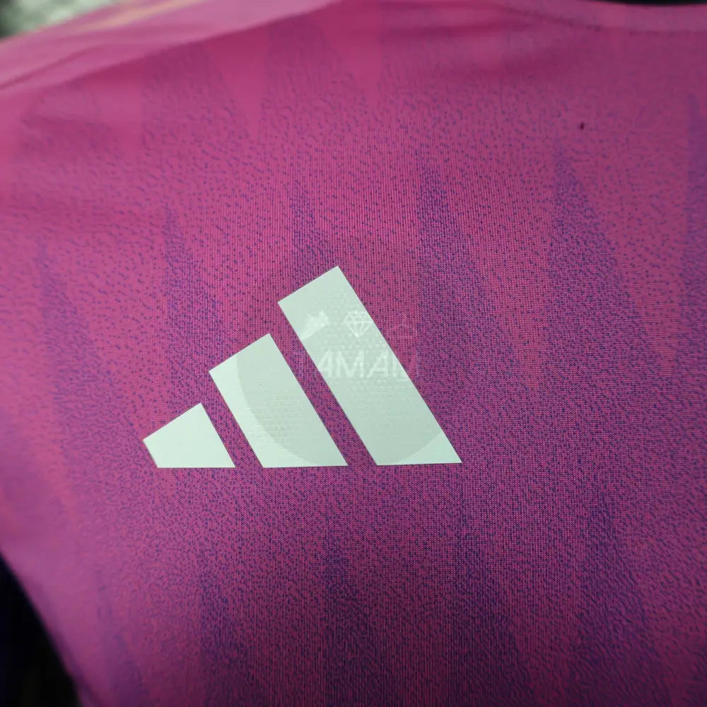 Germany Away Kit Player Version 24/25 International Football Jersey
