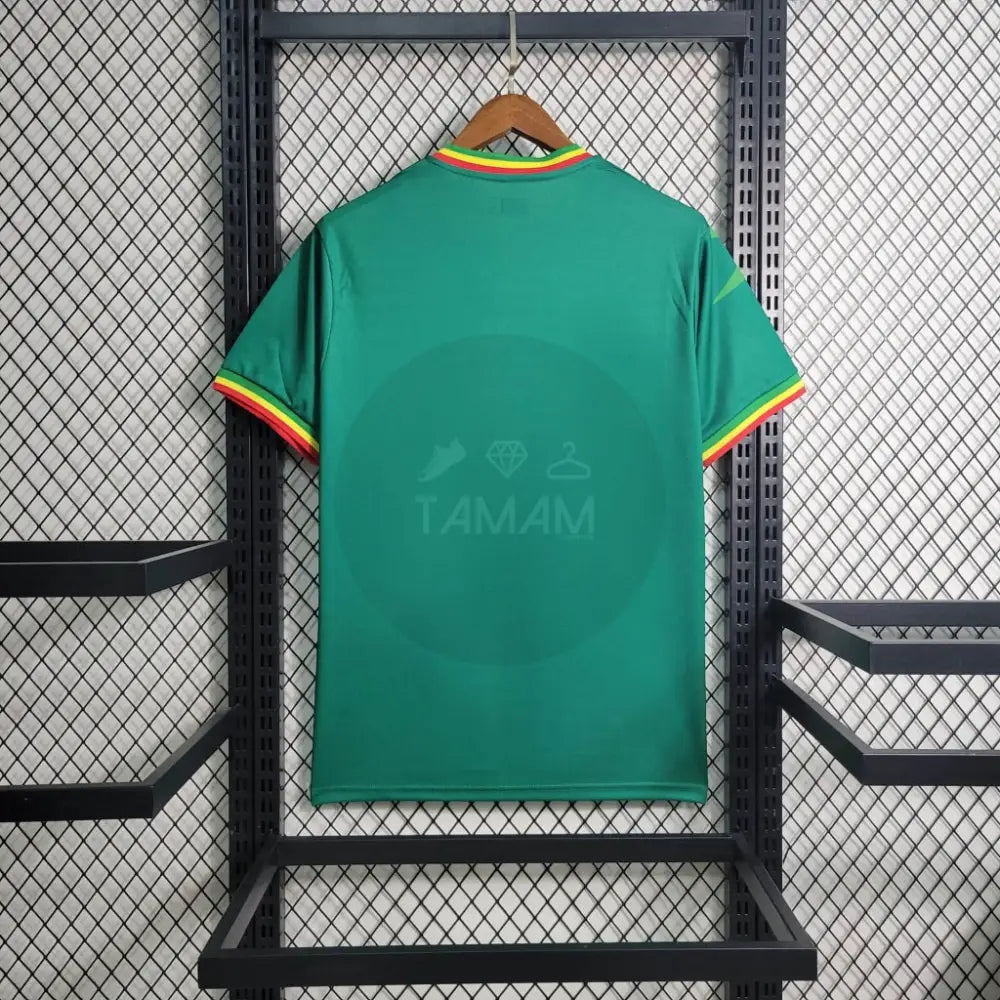 Mali Home Kit 23/24 Football Jersey