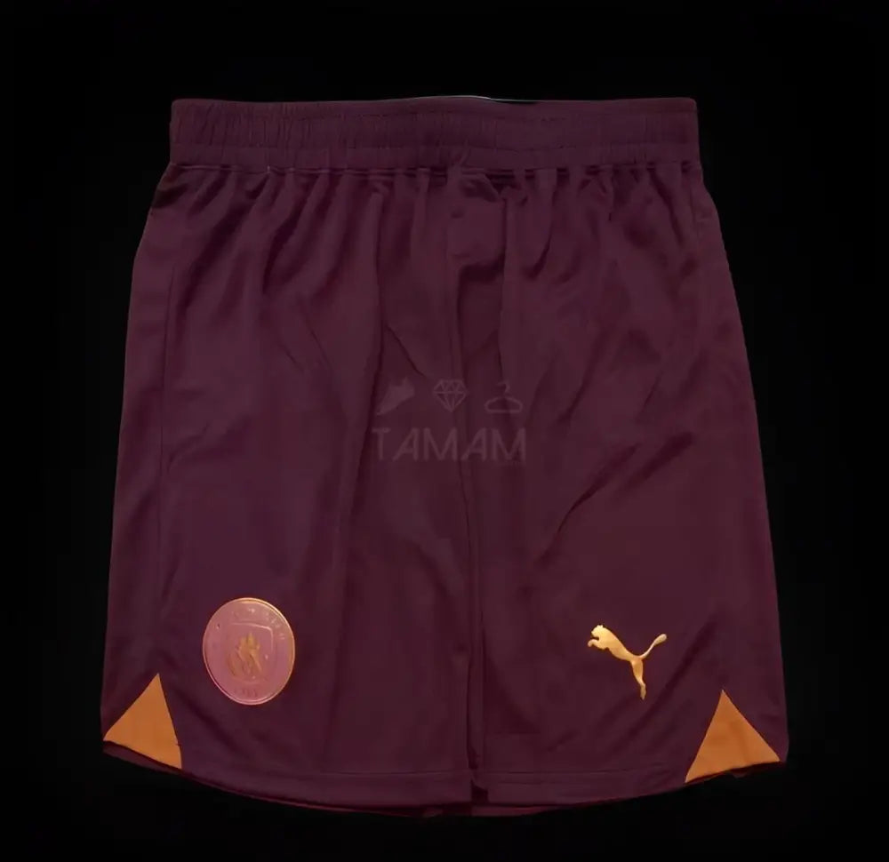Manchester City Shorts Third 23/24 Shorts
