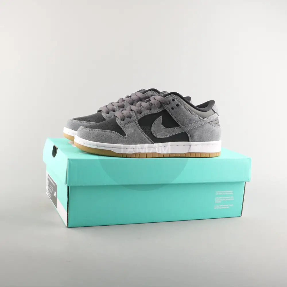 Nike Dunk Pro Sb Low Dark Gray Shoes