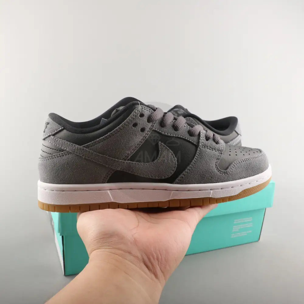 Nike Dunk Pro Sb Low Dark Gray Shoes