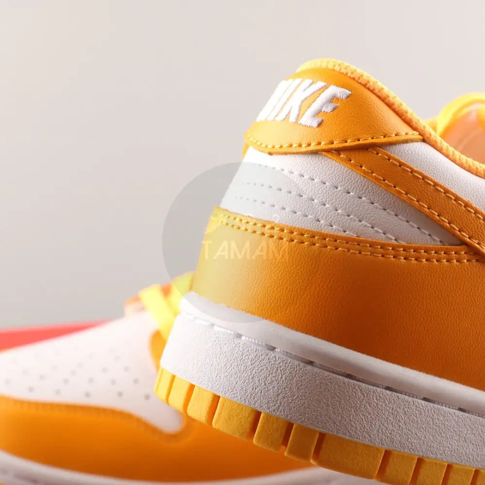 Nike Dunk Sb Low Orange White Shoes