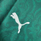 Palmeiras Home Kit 20/21 Retro