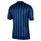 Inter Milan Home Kit 25/26