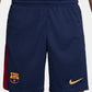 Barcelona Home Shorts 24/25