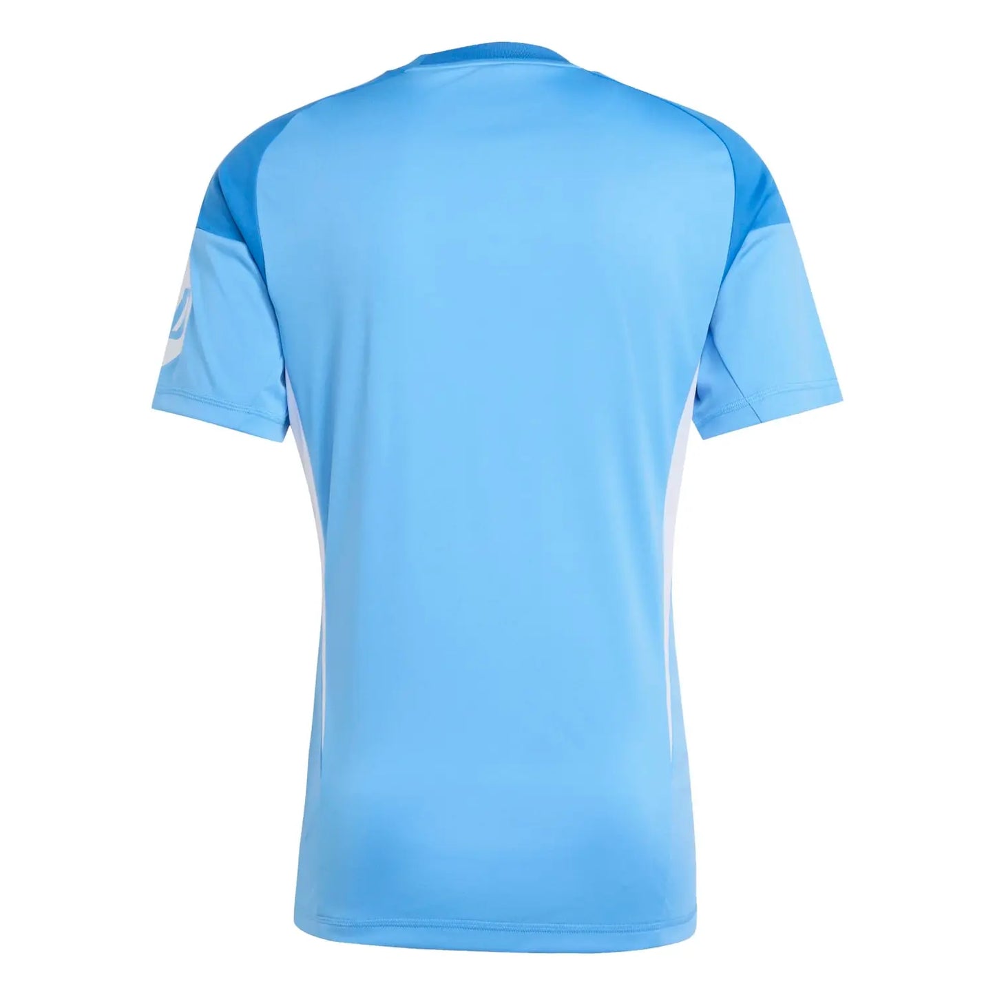 Real Madrid GK Blue Kit 24/25