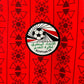 Egypt Home Kit 23/24 International Football Jersey