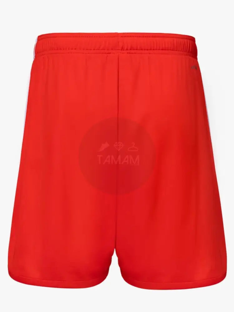 Fc Bayern Shorts Home 23/24 Shorts