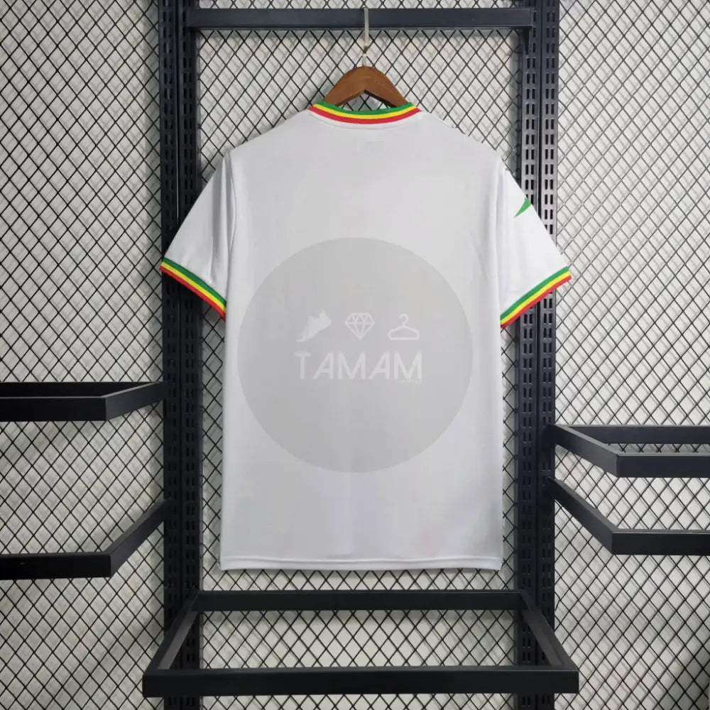 Mali Away Kit 23/24 Football Jersey