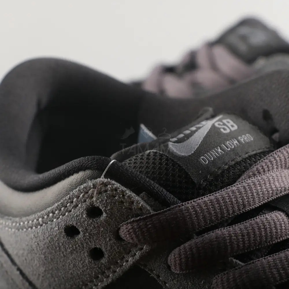 Nike Dunk Pro Sb Low Dark Gray Shoes